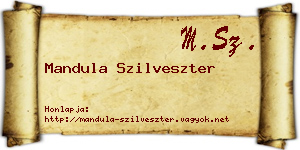 Mandula Szilveszter névjegykártya